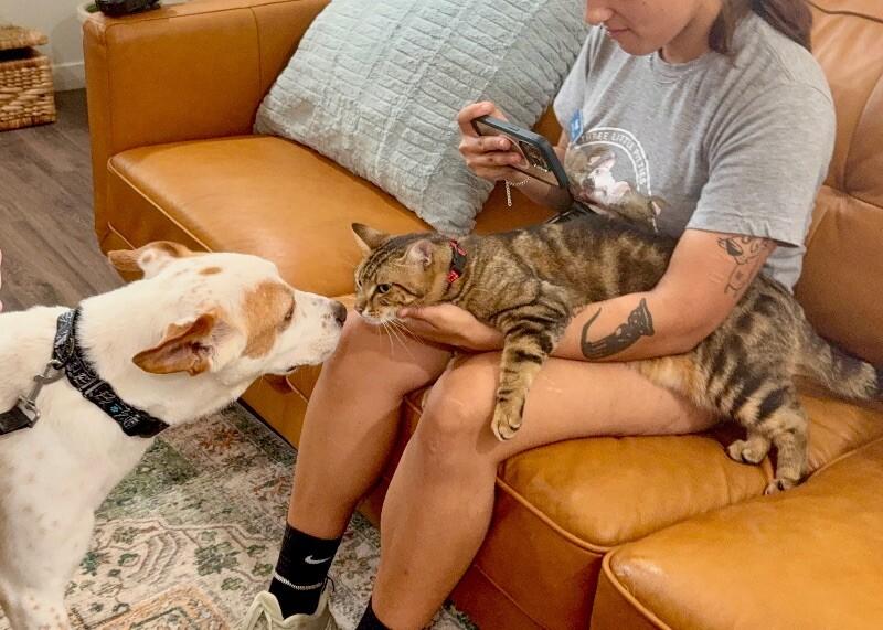 Ranchito Dorito the most chill dude — thumbnail 3