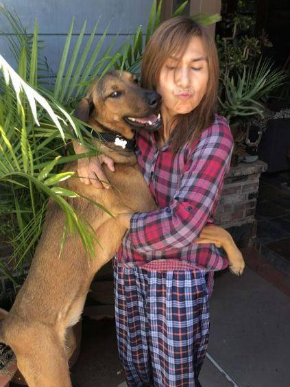 Rusty, a ADOPTABLE mixed breed in Tarzana, CA image 2/6