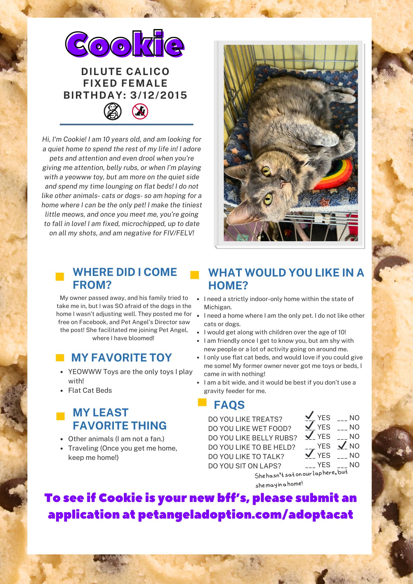 Enlarge Cookie, a Adopted Domestic Short Hair in Frankenmuth, MI image 4/5