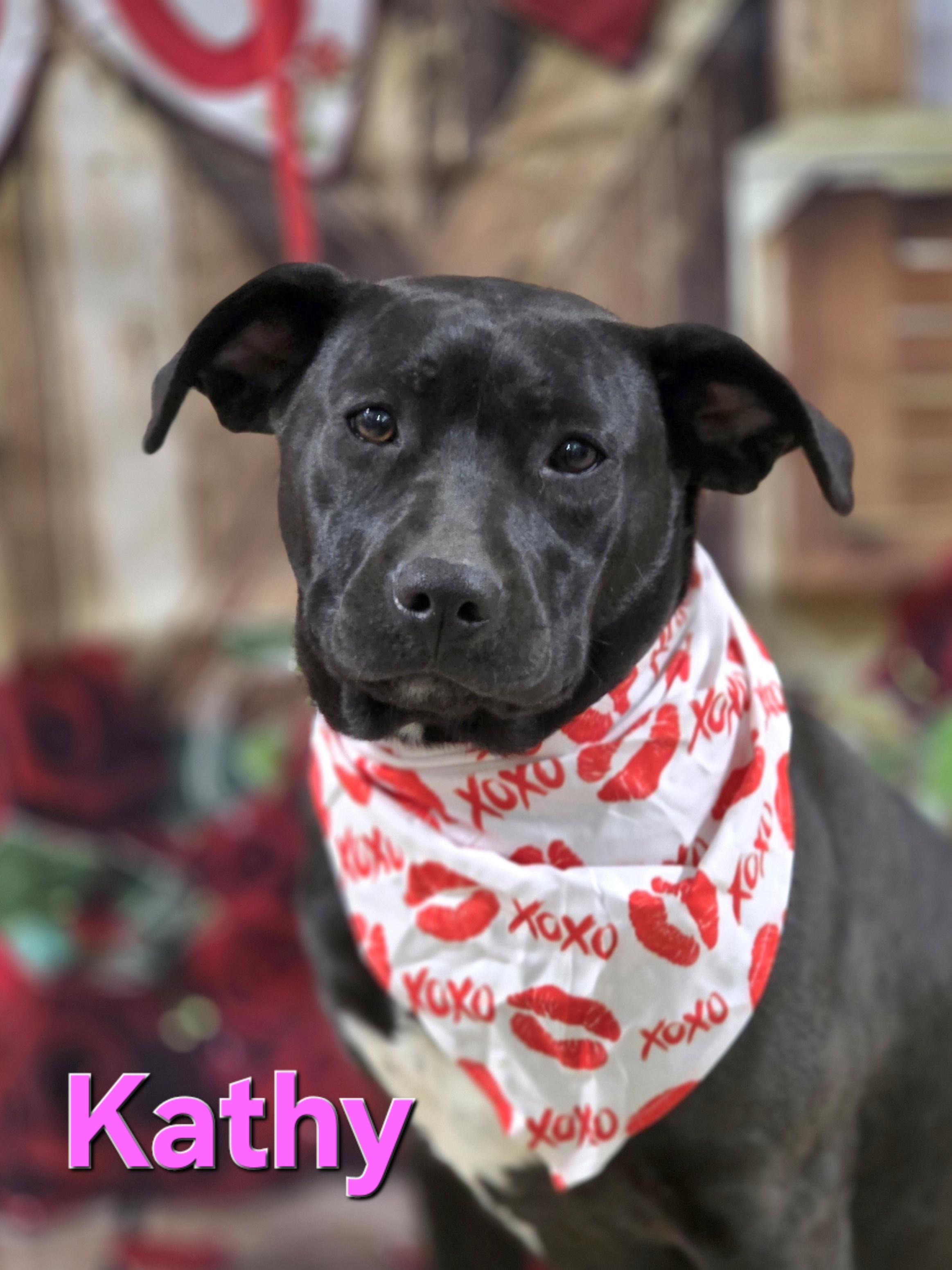 Enlarge Kathy, a Adoptable mixed breed in Walthill, NE image 2/6