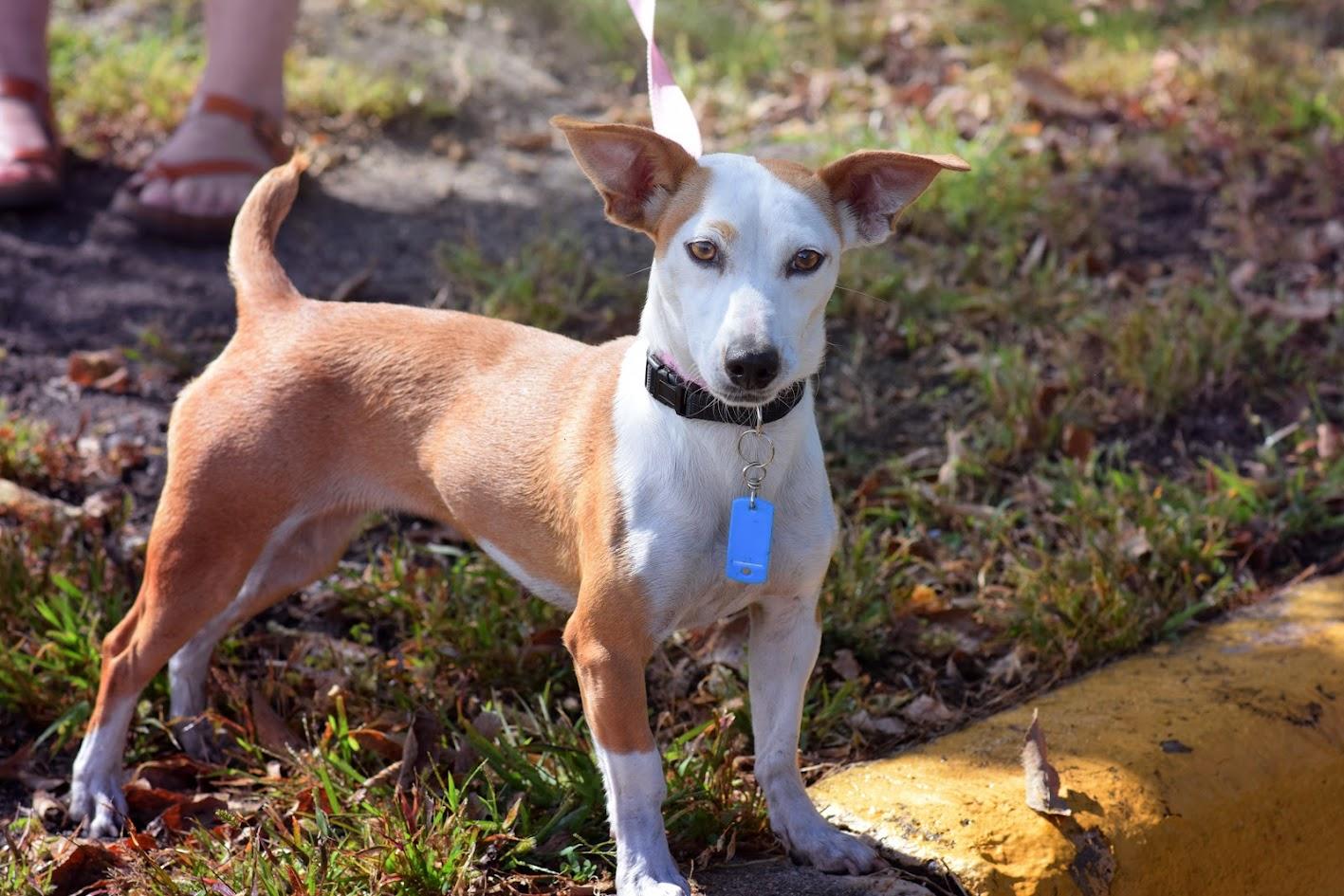 Lily **Foster Needed**