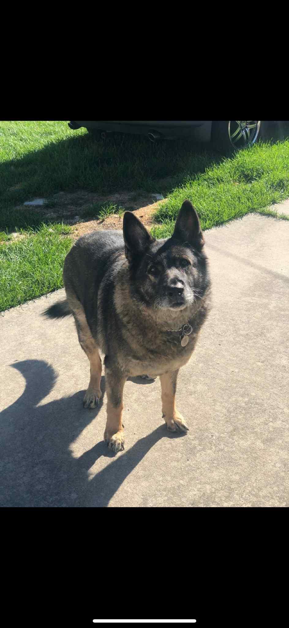 Zoey 0914