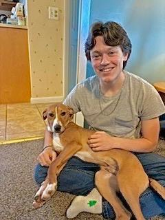 Humphrey, a Adoptable mixed breed in Princeton, MA image 5/6