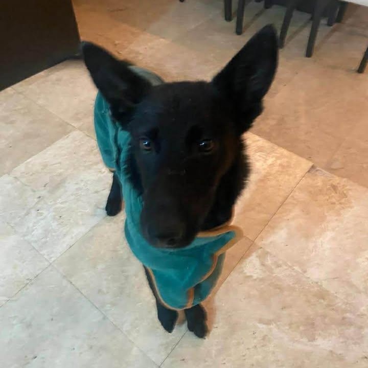 Pily (20260118-01) — thumbnail 2