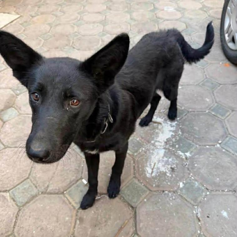 Pily (20260118-01) — thumbnail 3