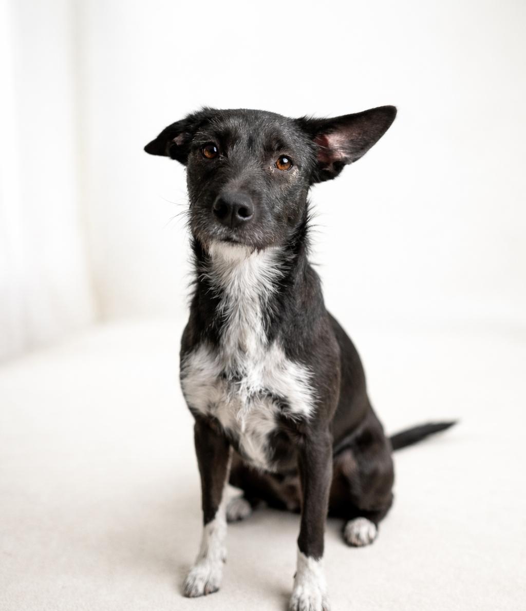 Wednesday — thumbnail 4