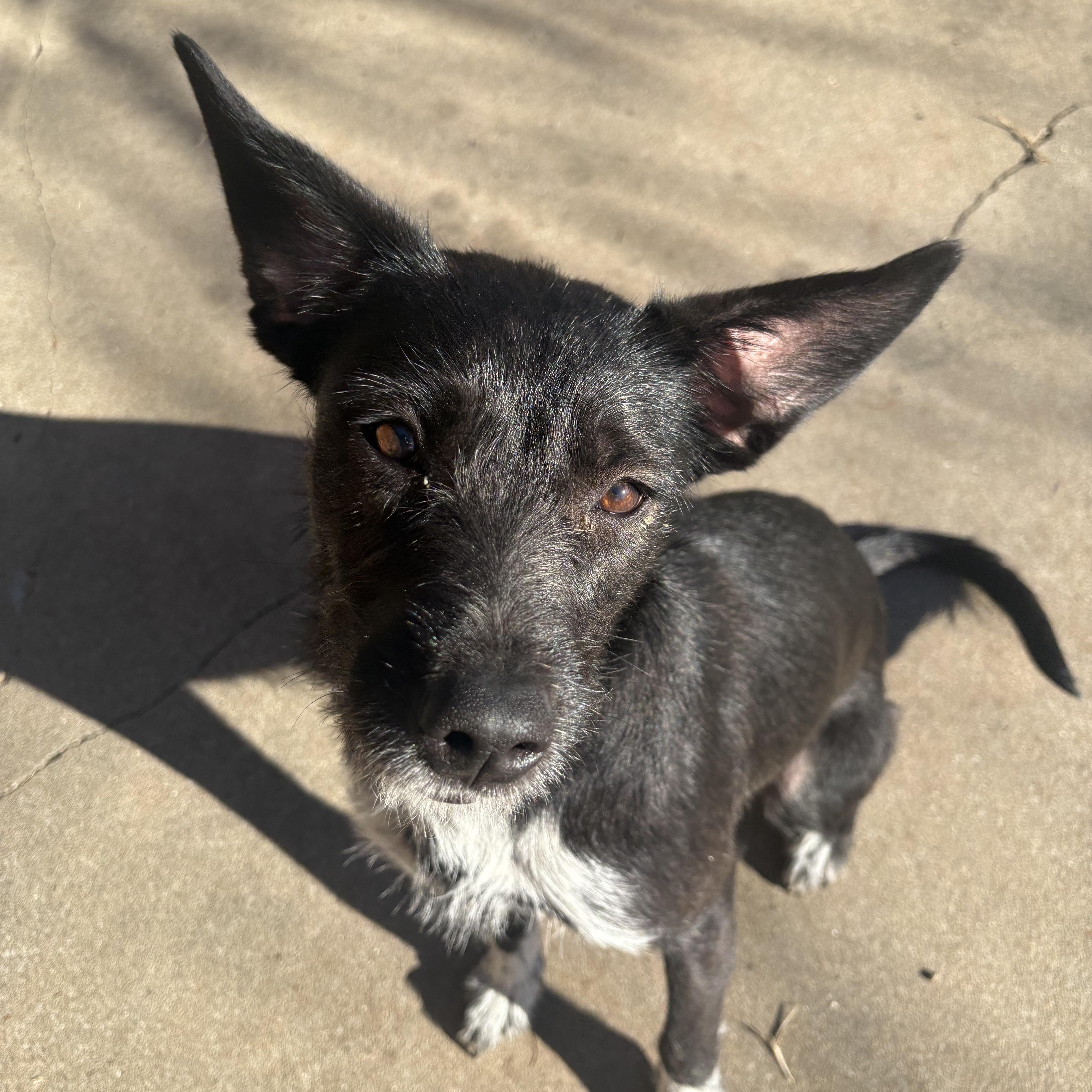 Wednesday — thumbnail 5