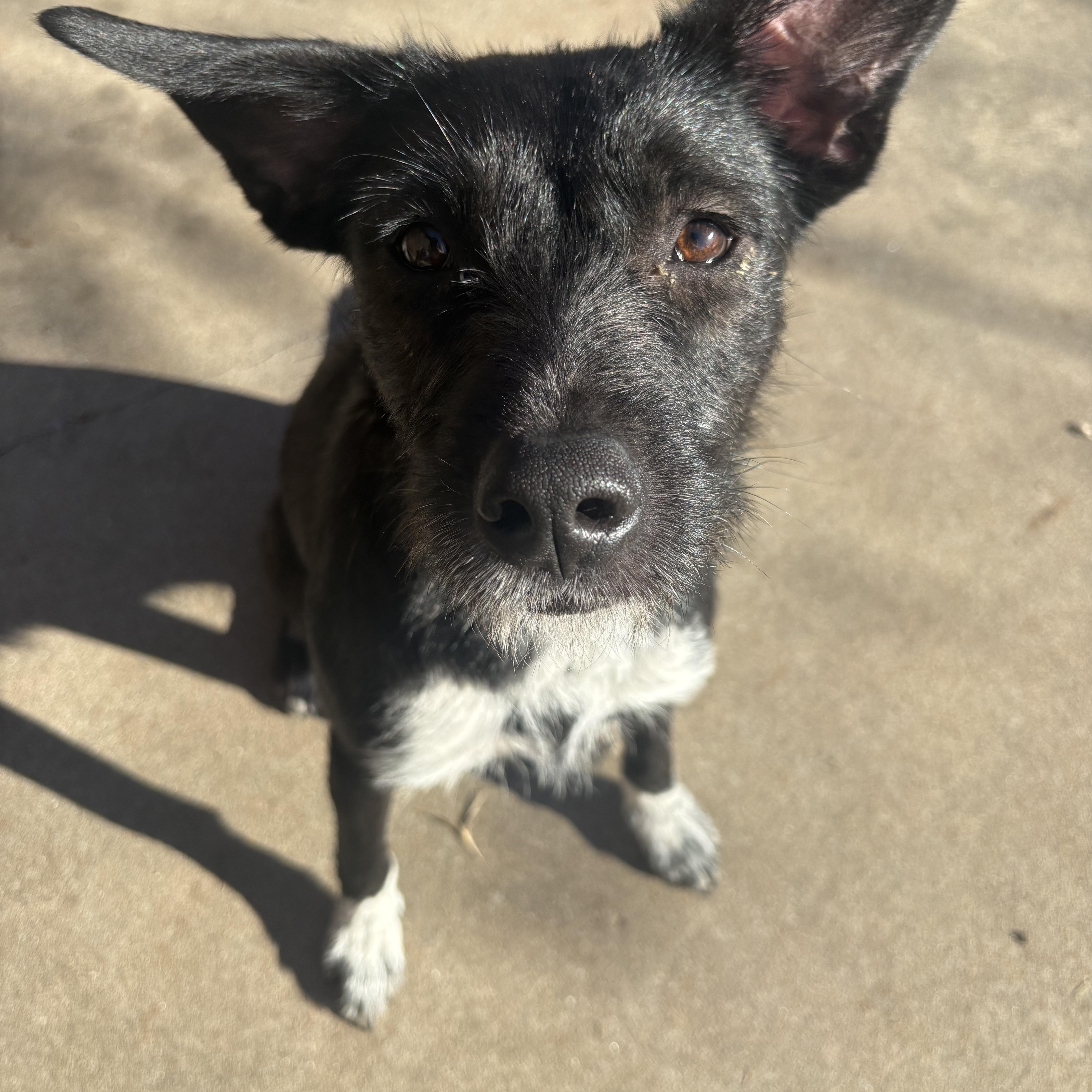 Wednesday — thumbnail 6