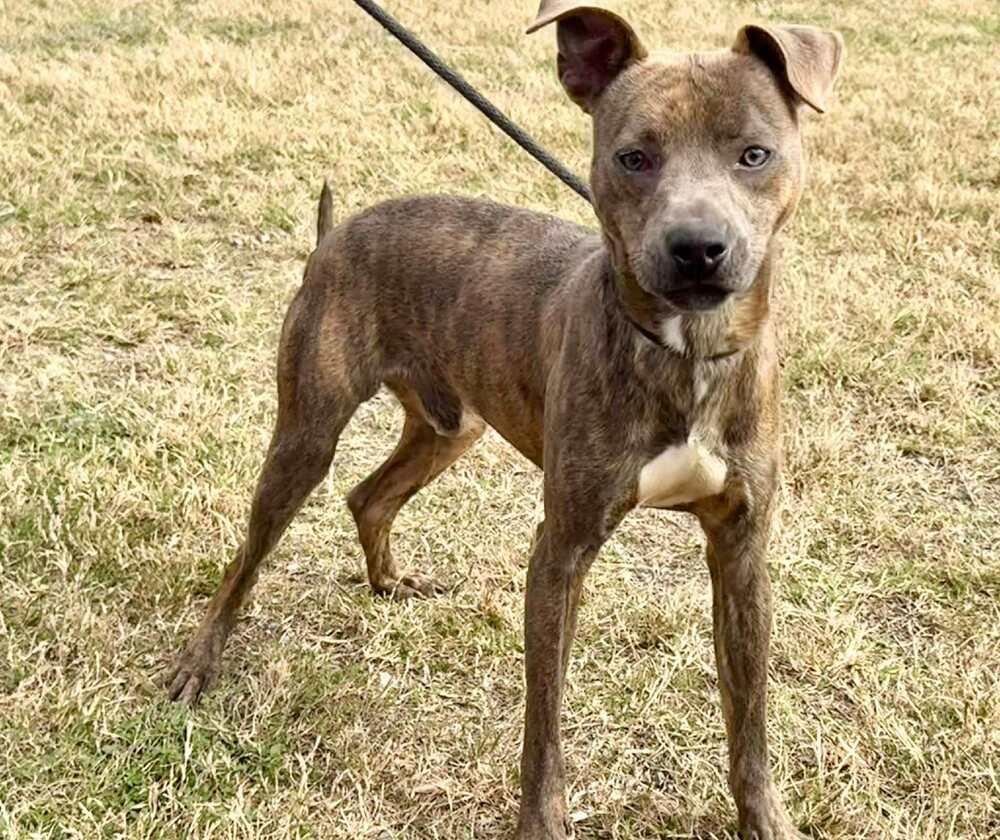 Baby Boy — thumbnail 2