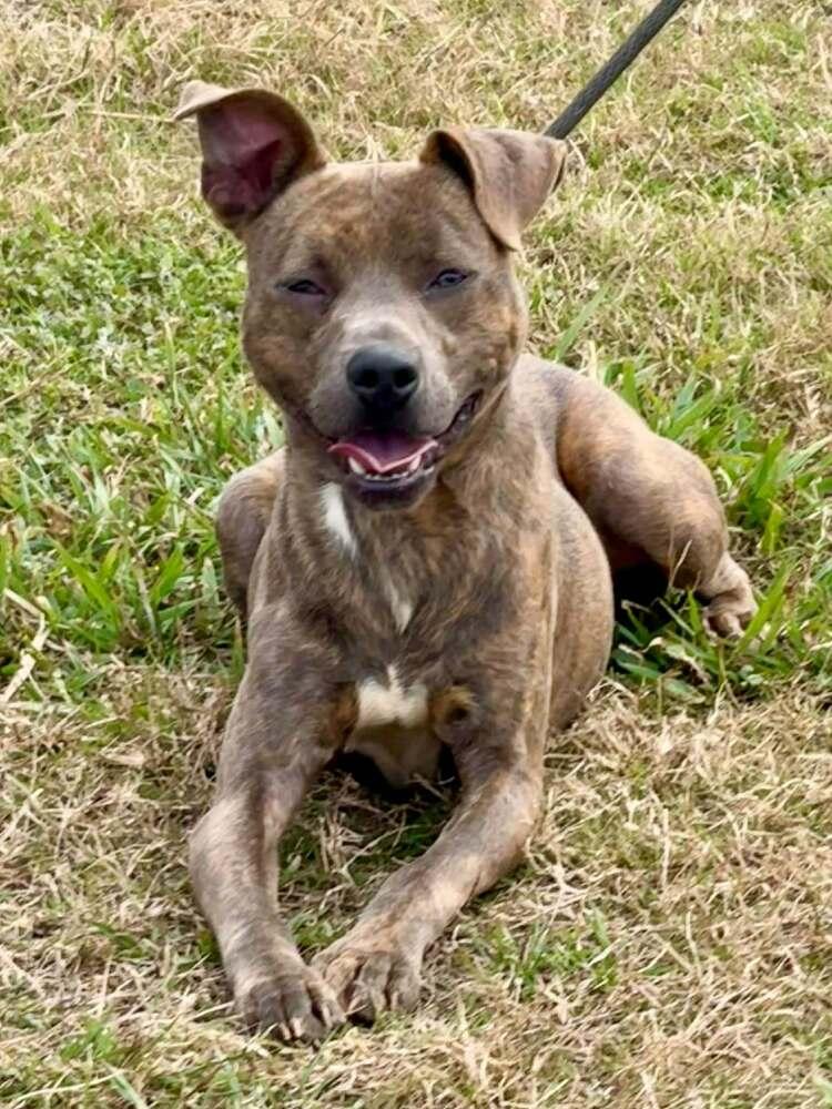 Baby Boy — thumbnail 3