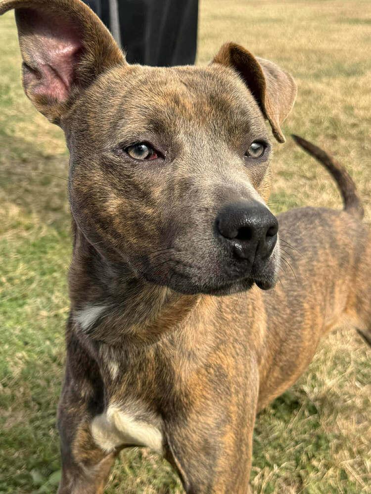 Baby Boy — thumbnail 4