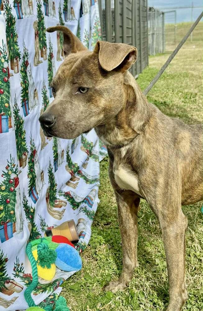 Baby Boy — thumbnail 5