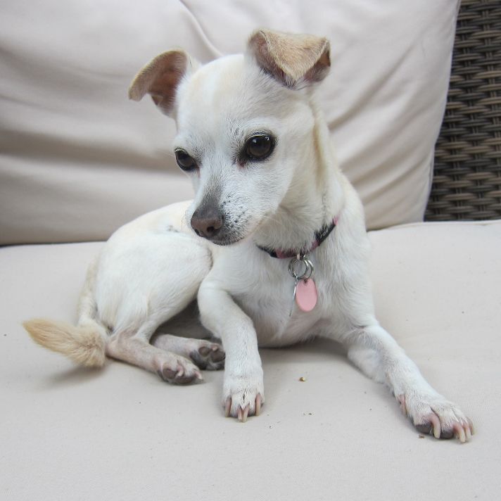 Morgan *Forever in Foster Care*
