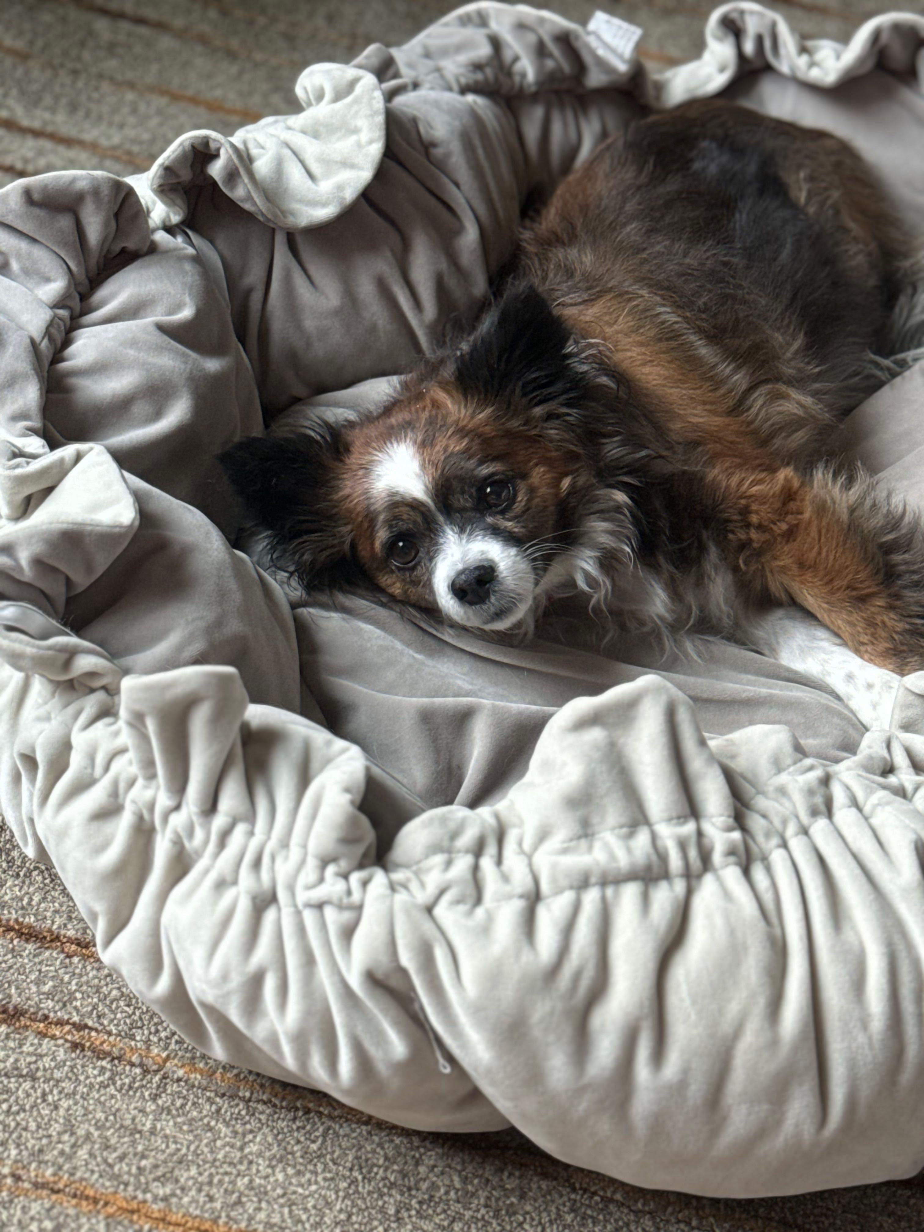 Max