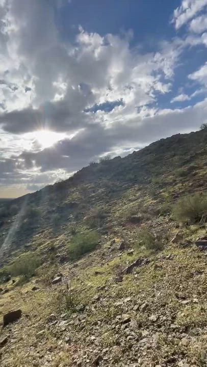 Enlarge Vienna, a ADOPTABLE mixed breed in Scottsdale, AZ video 5/5