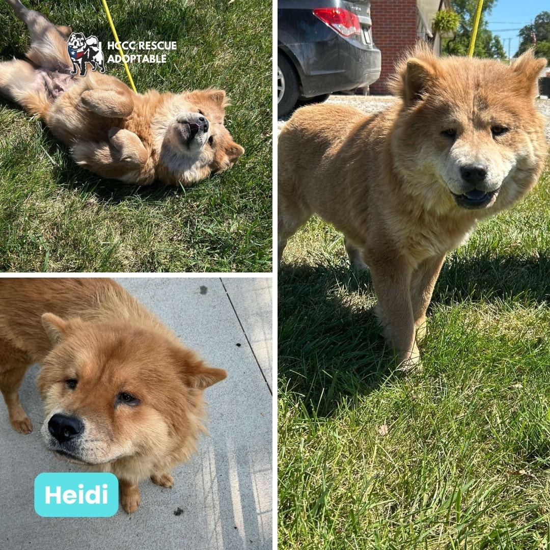 Henna & Heidi