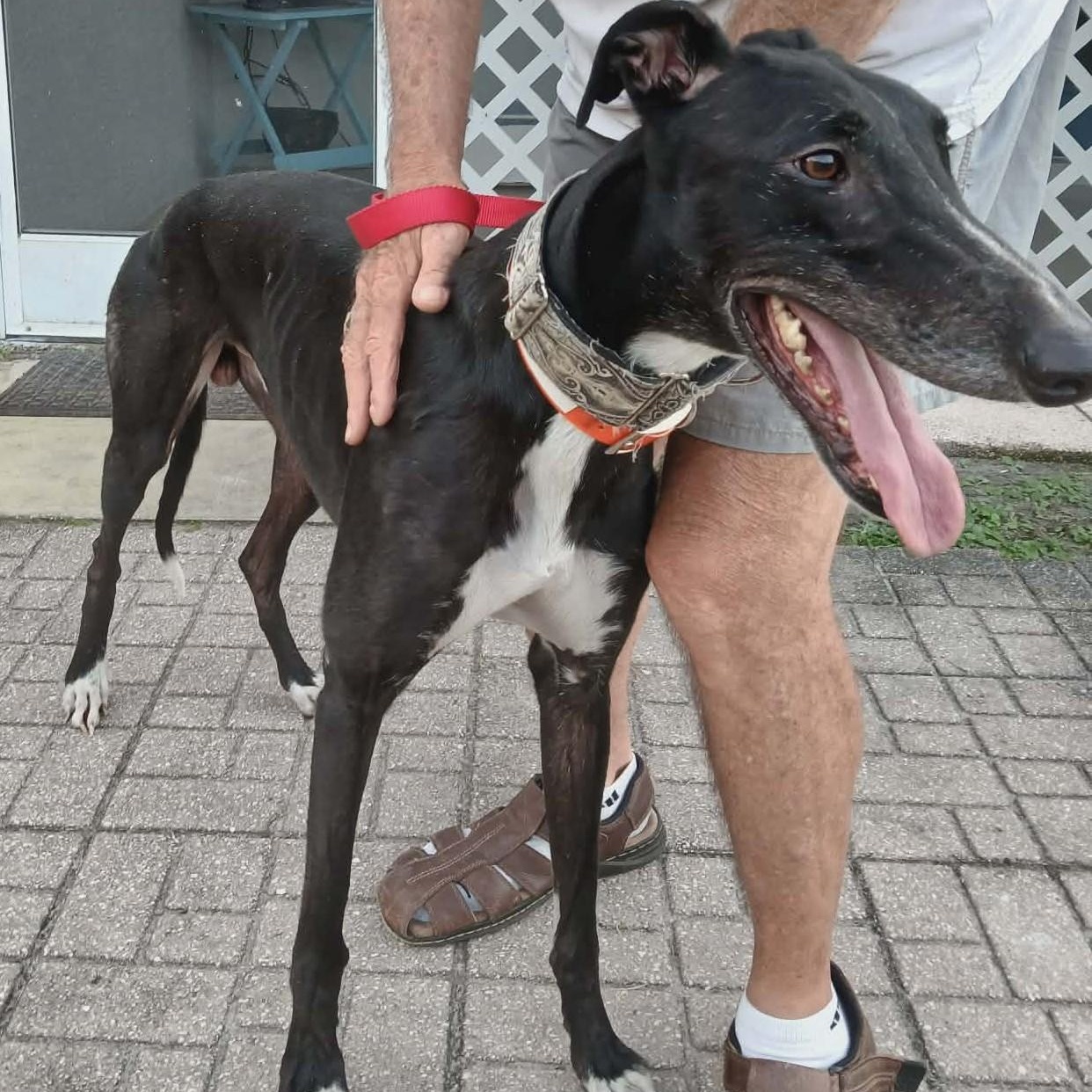 Lee Griffin thumbnail 2