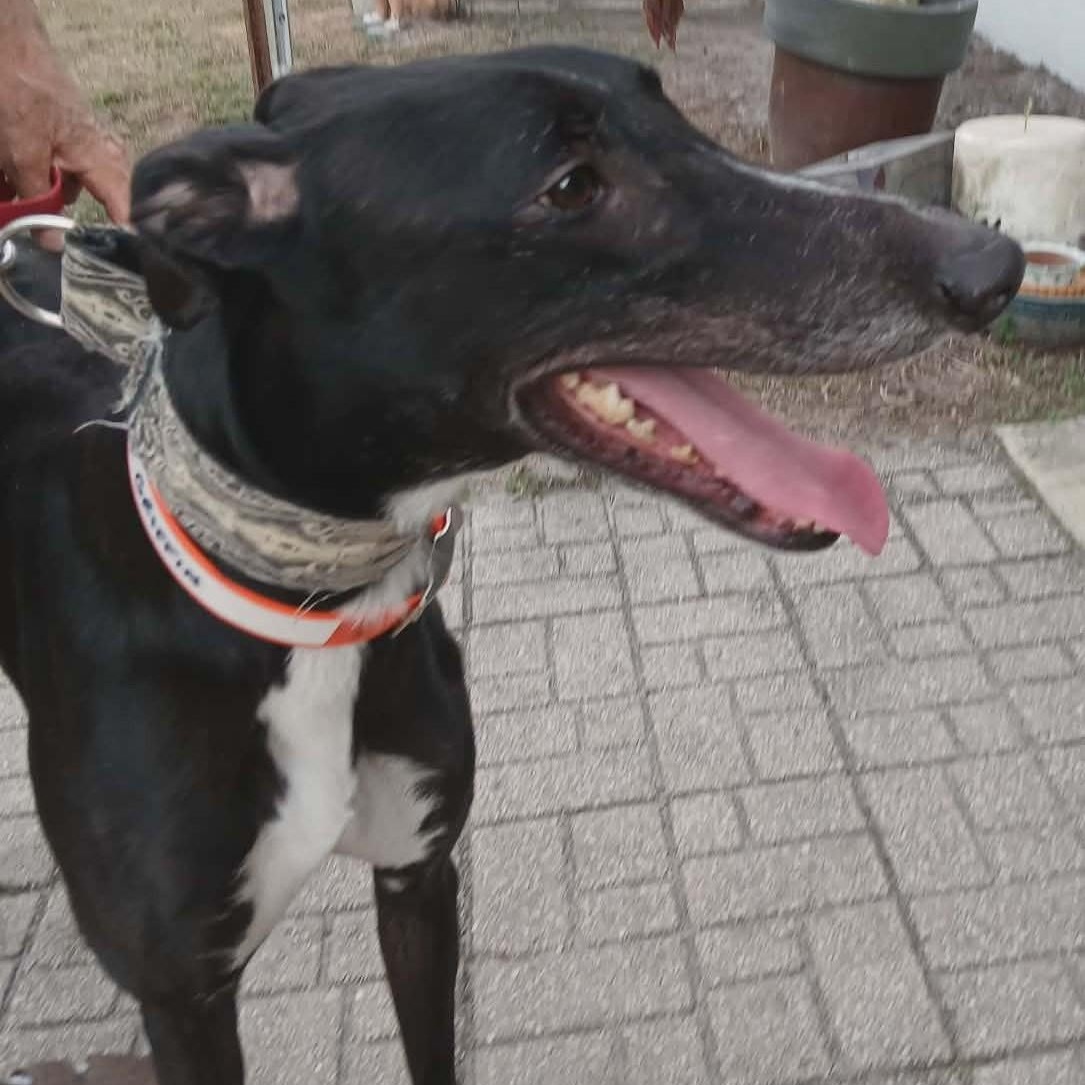 Lee Griffin thumbnail 3