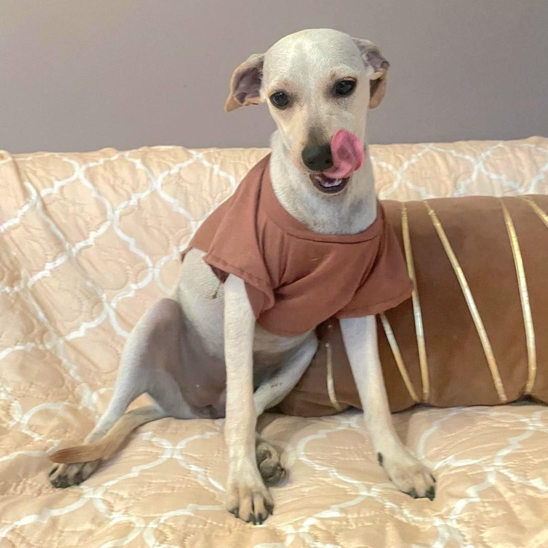 Vida "let's Live Life thumbnail 4