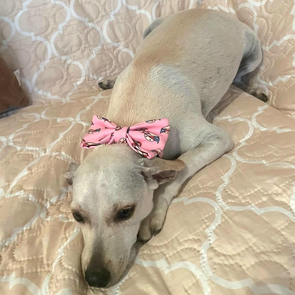 Vida "let's Live Life thumbnail 6