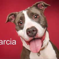 24-1196 Garcia 2