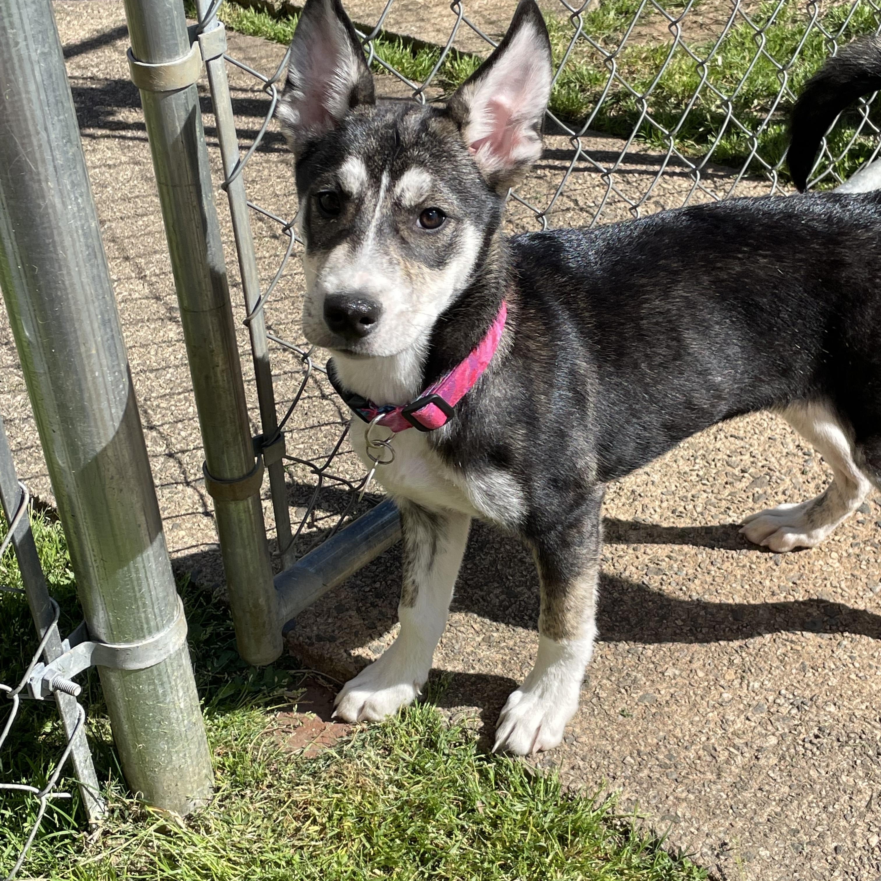 Ellie