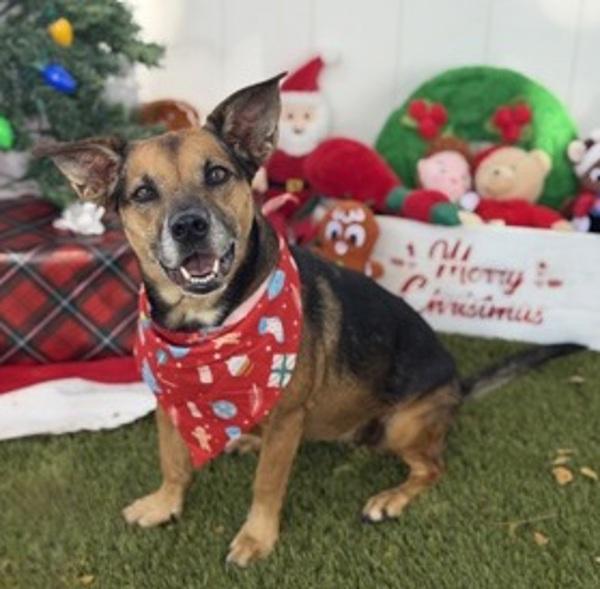 Charlie Sylva thumbnail 2