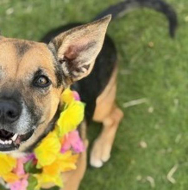 Charlie Sylva thumbnail 3