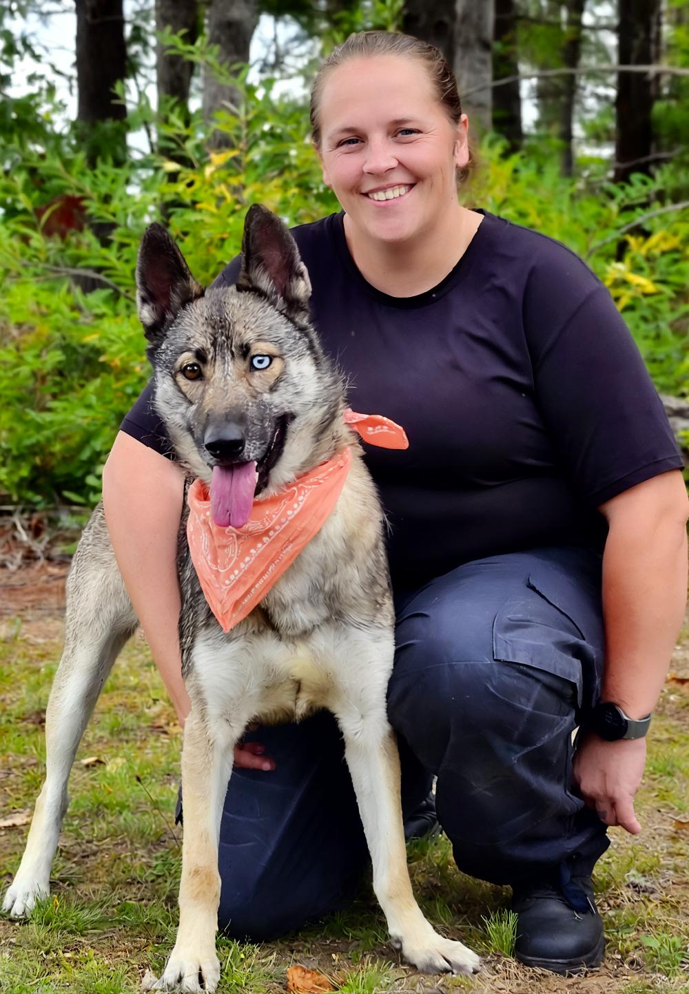 Luna, an adoptable Husky, German Shepherd Dog in Cheboygan, MI, 49721 | Photo Image 4