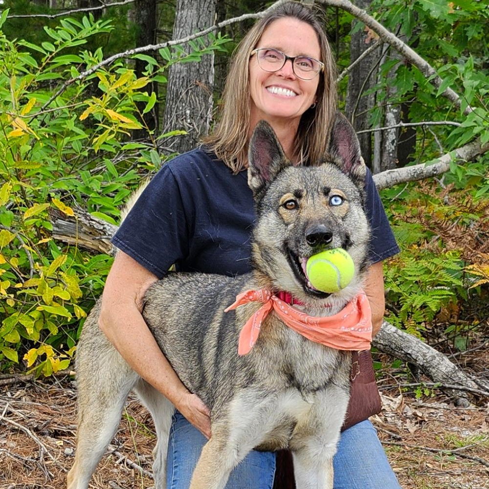 Luna, an adoptable mixed breed in Cheboygan, MI image 3/6