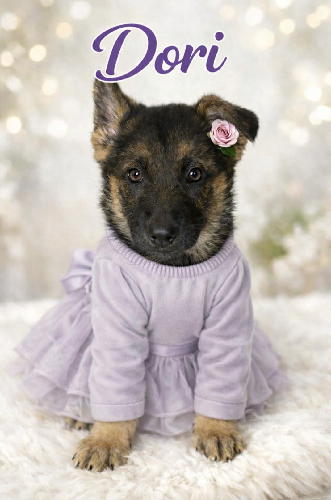 Dori — thumbnail 2