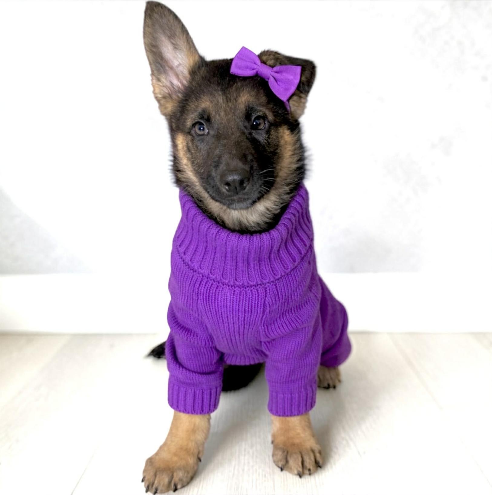 Dori — thumbnail 4