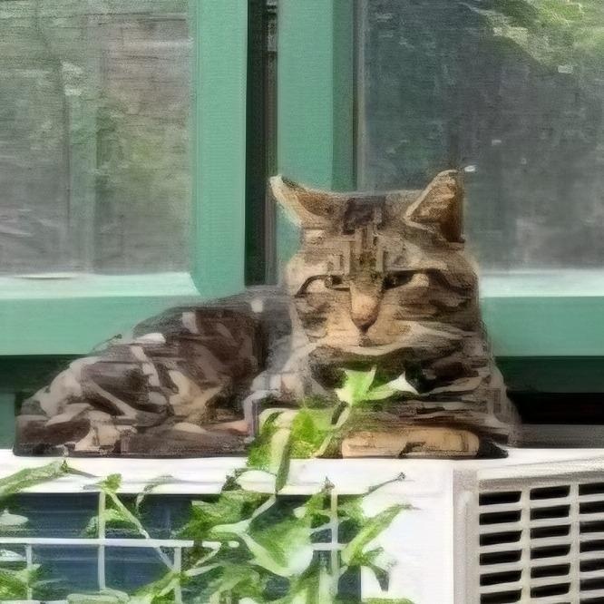 Pesto, a Adoptable American Shorthair in New York, NY image 6/6