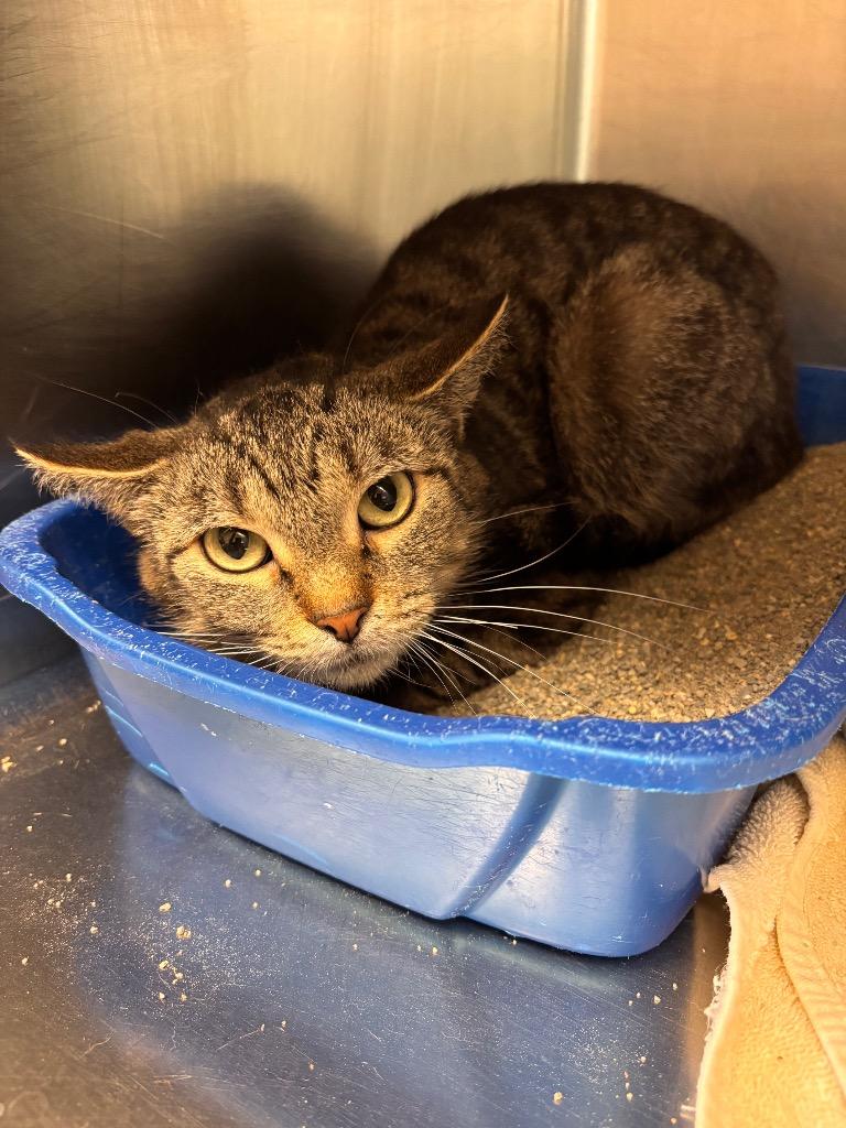 Witherspoon thumbnail 3