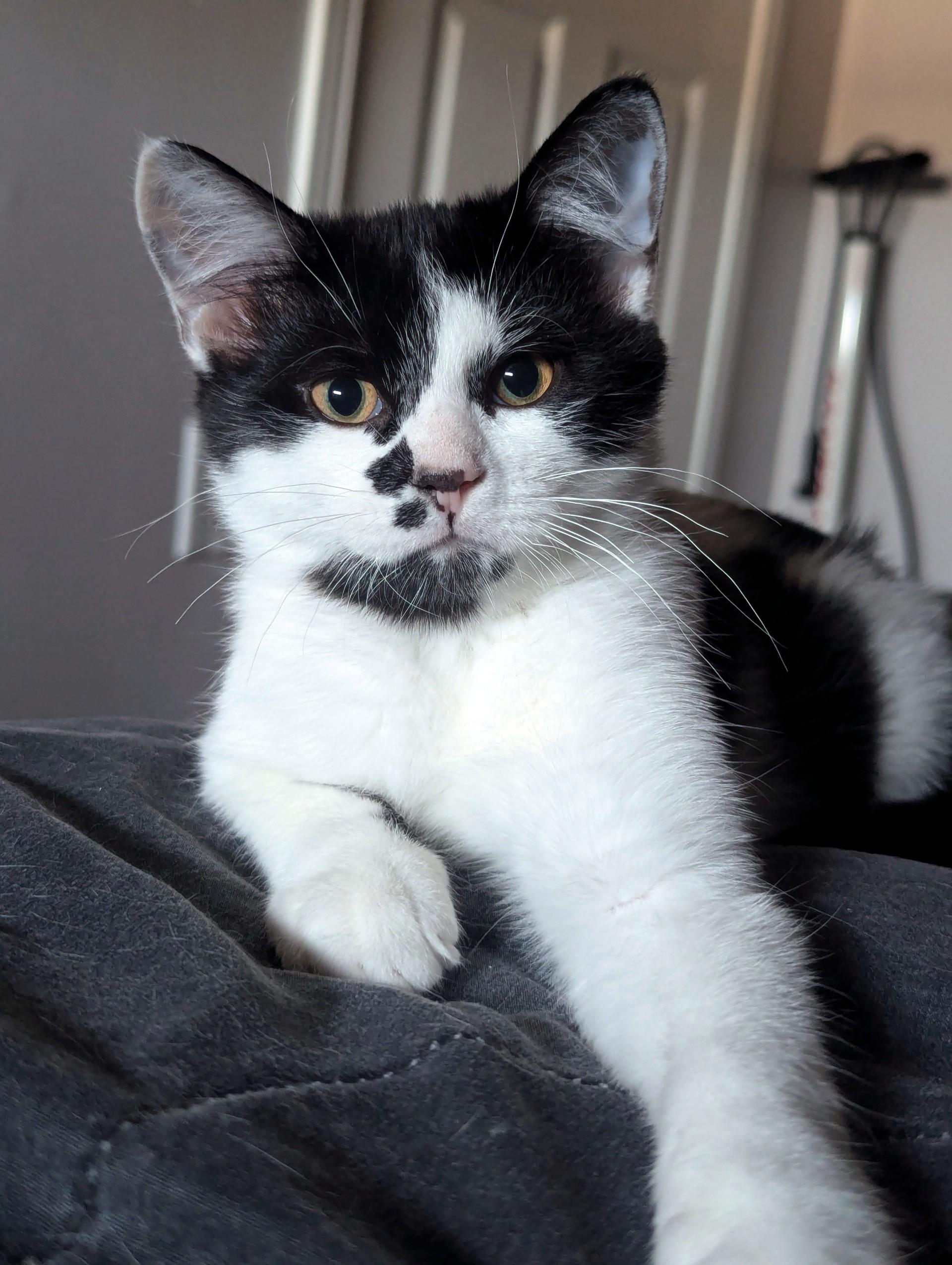 Ghost Pepper — thumbnail 2