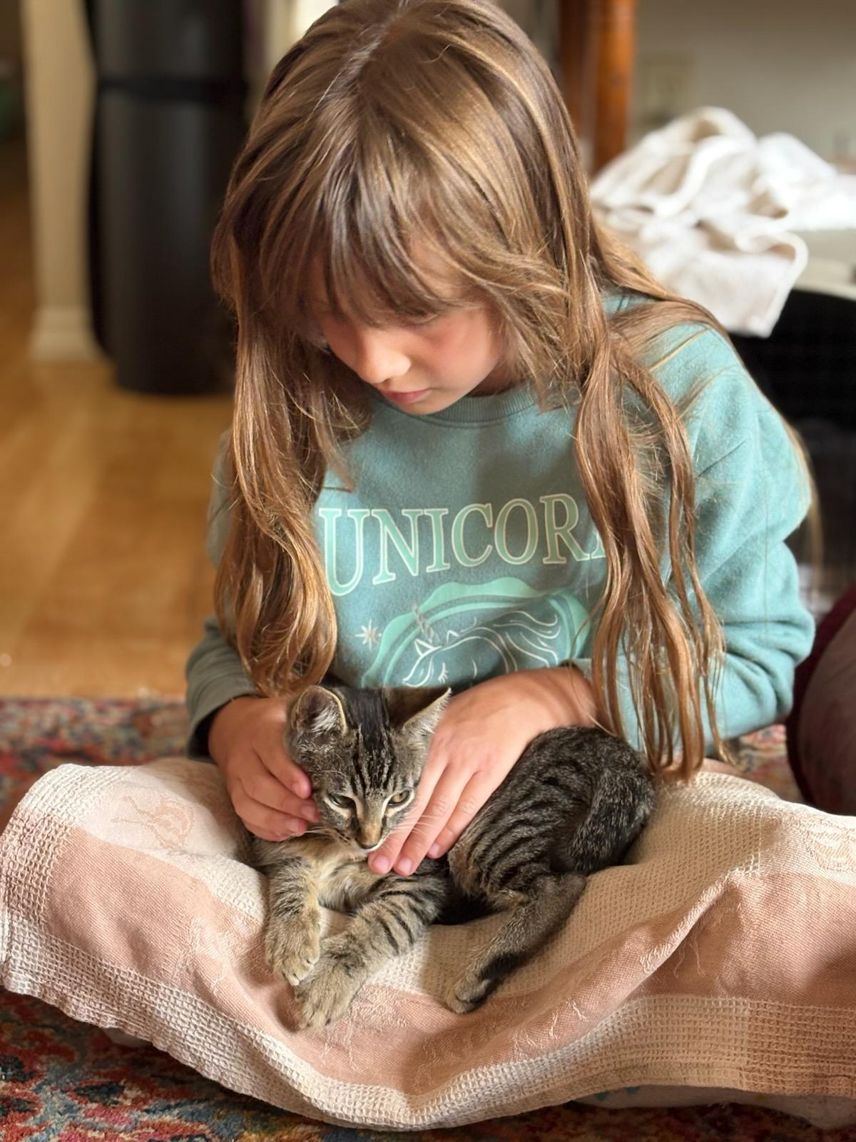 Louie, a Adoptable mixed breed in Eureka, CA image 2/5