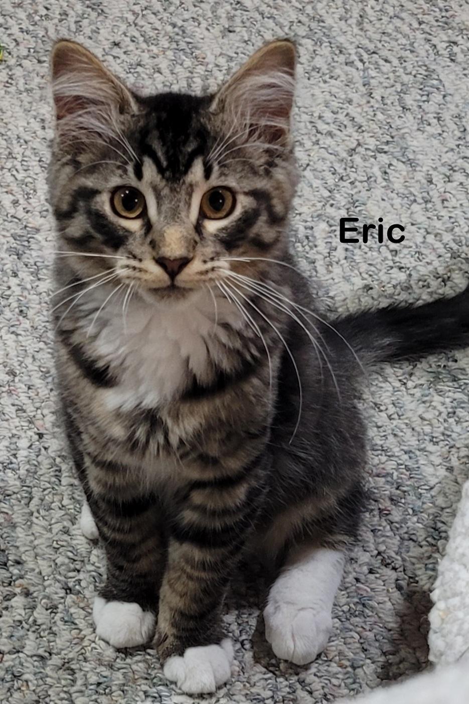 Eric, Young Male unknown