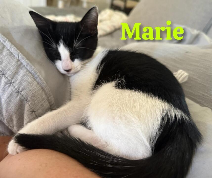Marie