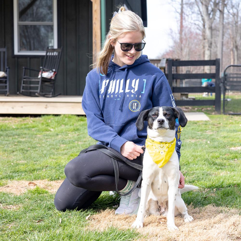 Enlarge Pascha (Female)  , a Adoptable mixed breed in West Grove, PA image 3/5
