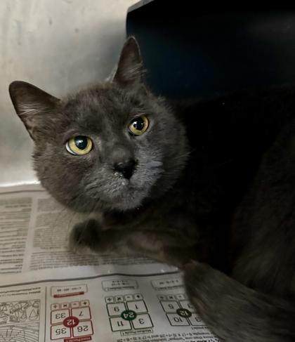 Equinox — thumbnail 2