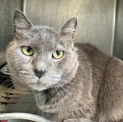 Equinox — thumbnail 3