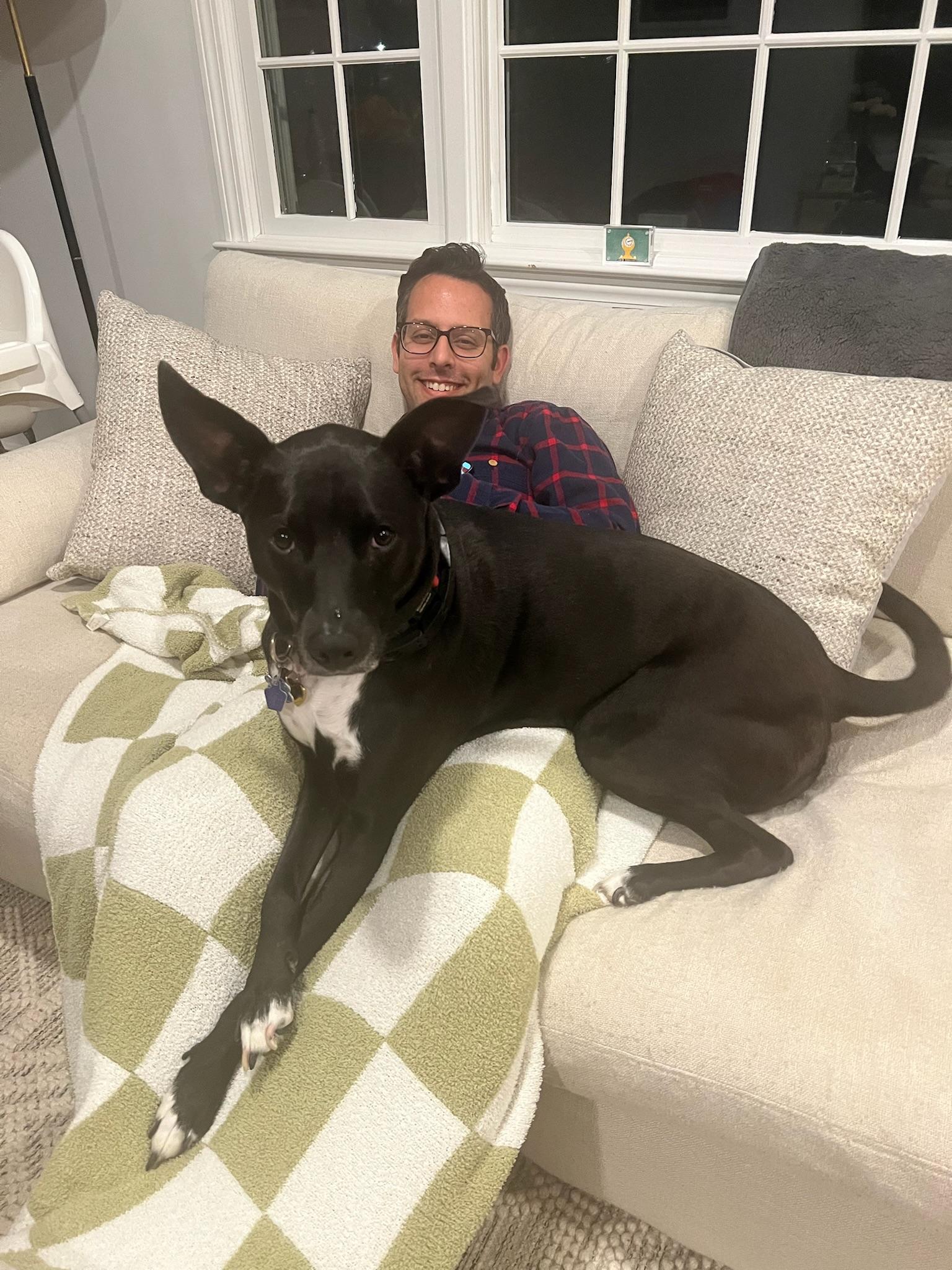 Enlarge Mallomar, a ADOPTABLE mixed breed in Sagaponack, NY image 5/6