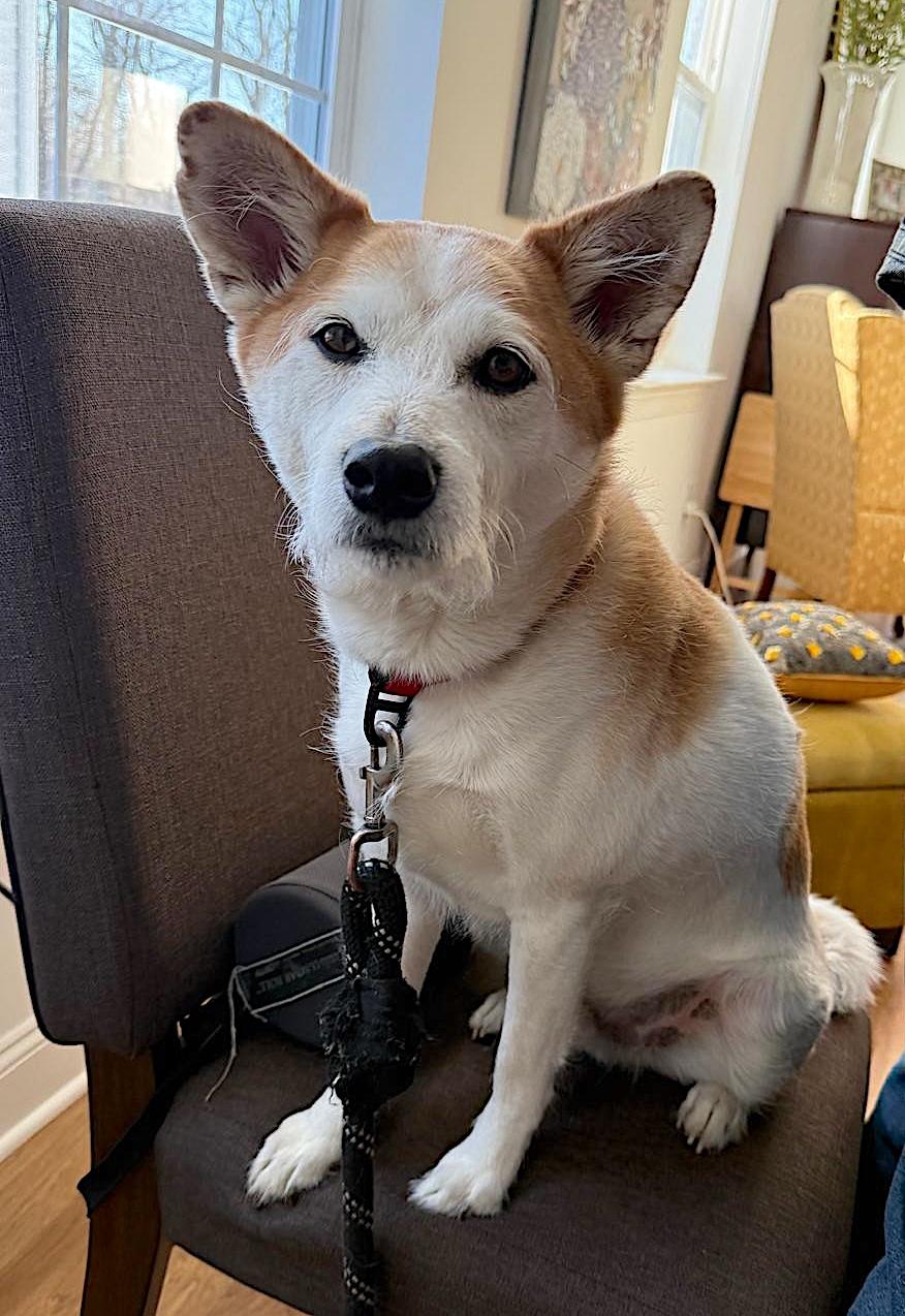 Lucky — thumbnail 5