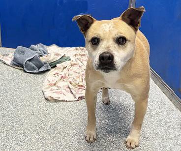 LOVEY* — thumbnail 2