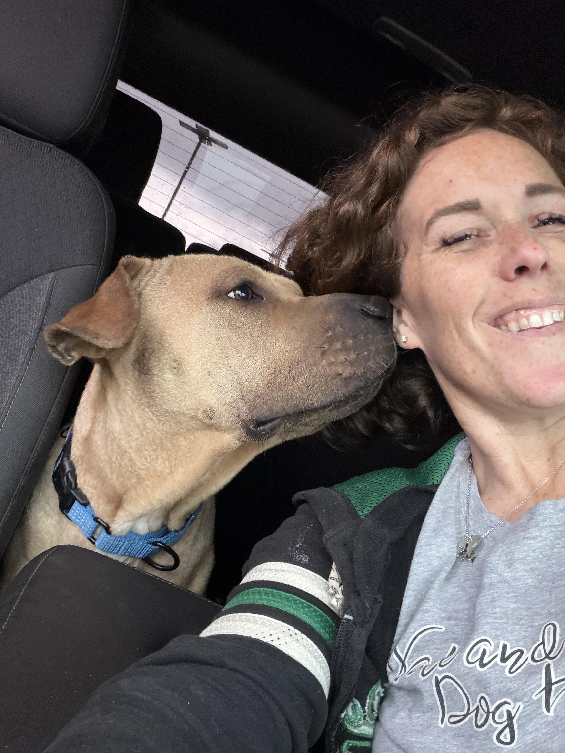 Enlarge Tommi, a Adoptable mixed breed in Philadelphia , PA image 6/6