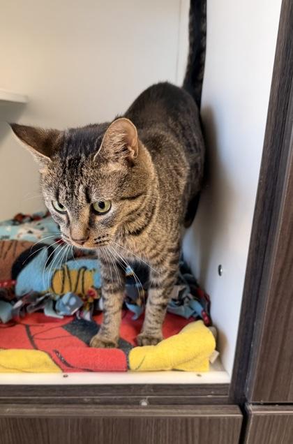 Lilith — thumbnail 2