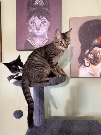 Merle & Hank — thumbnail 5