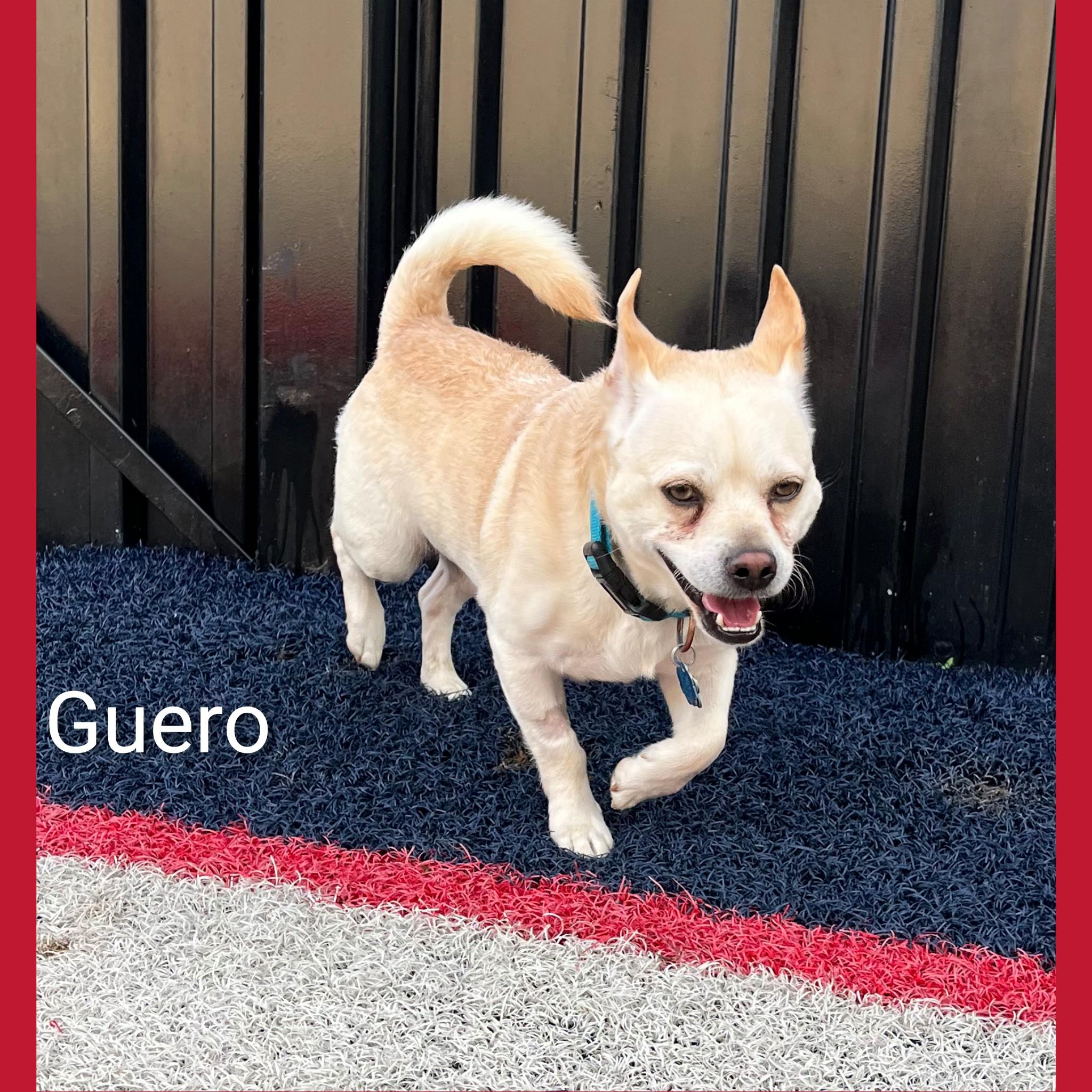 Guero