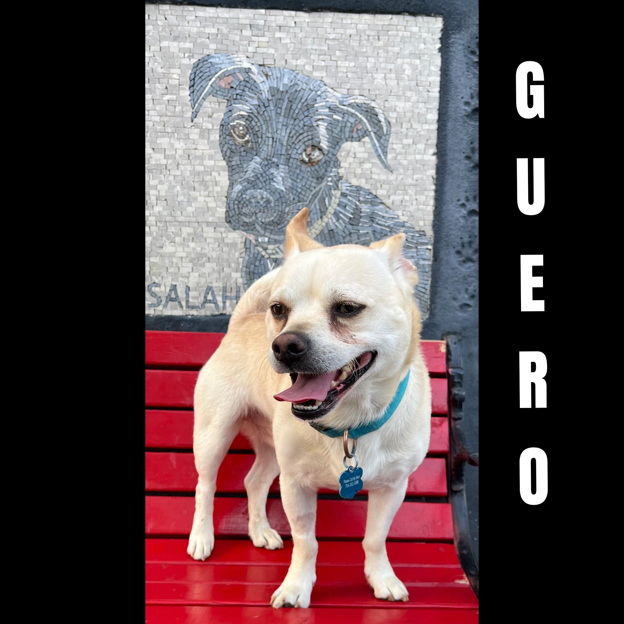 Guero