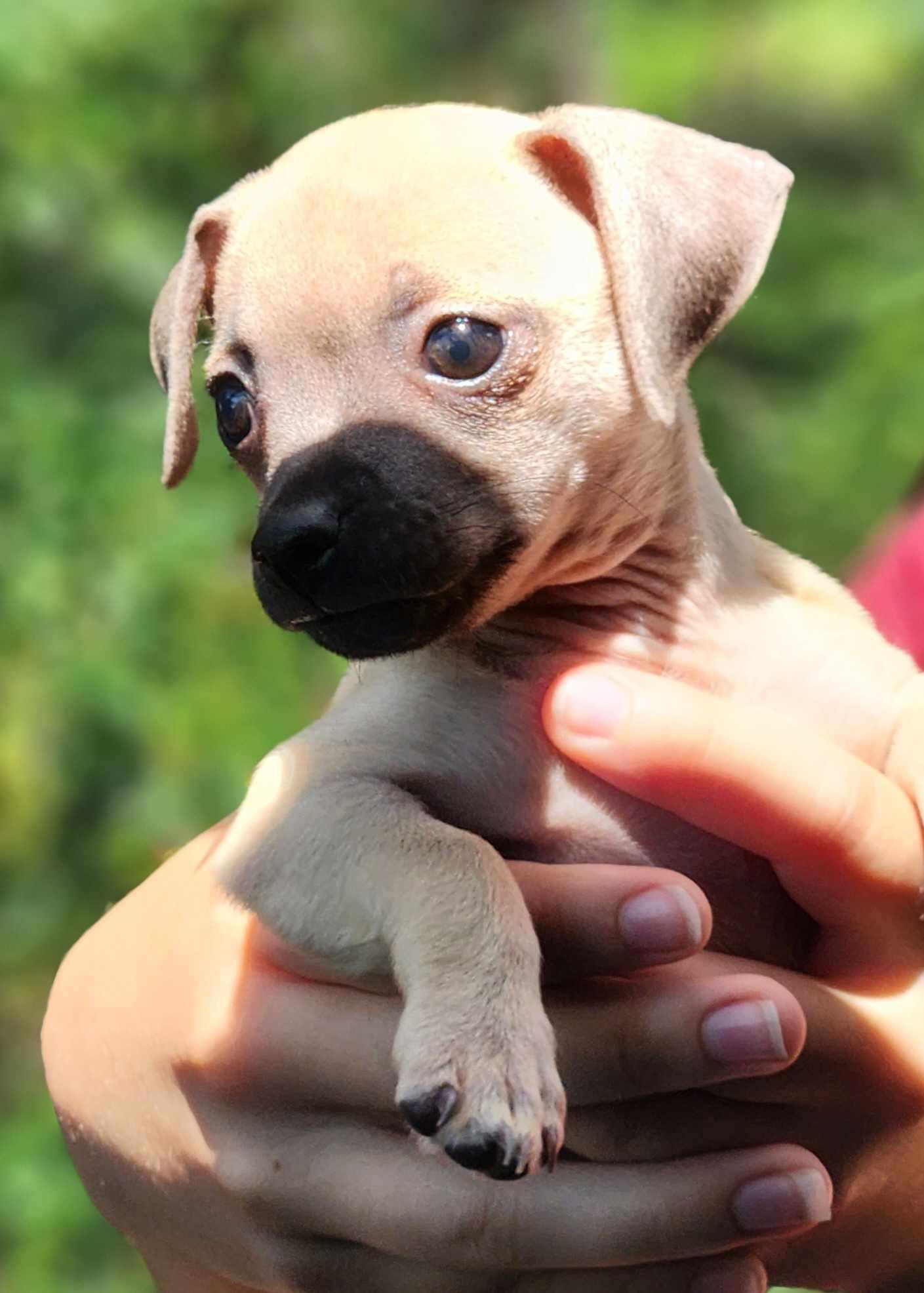 Zena, Baby Female unknown